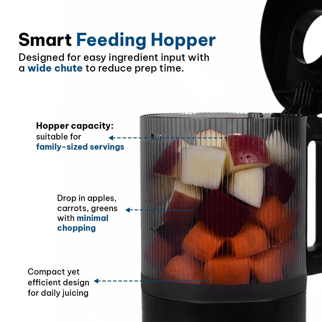 Cold Press Juicer - Image 7