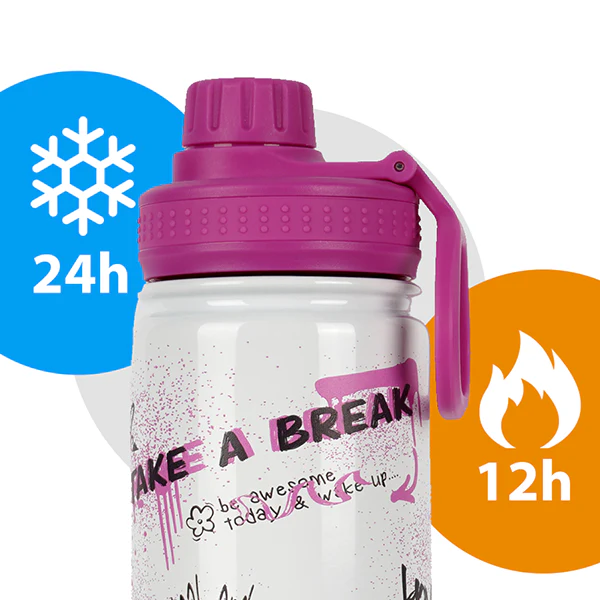 Insulated Water Bottle 650 ML - Image 7